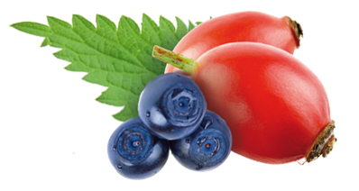 multifood_berry